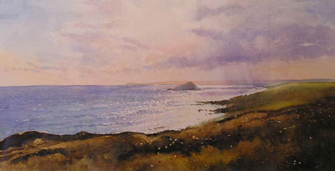art gallery devon